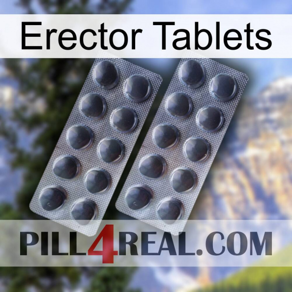 Erector Tablets 31.jpg